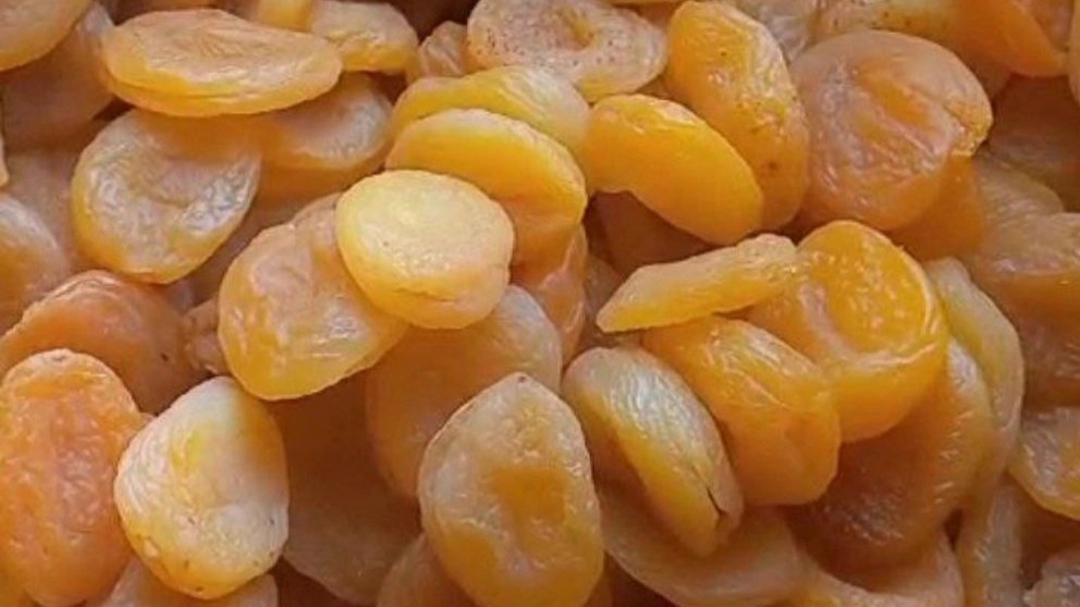 ویدئو مجموعه