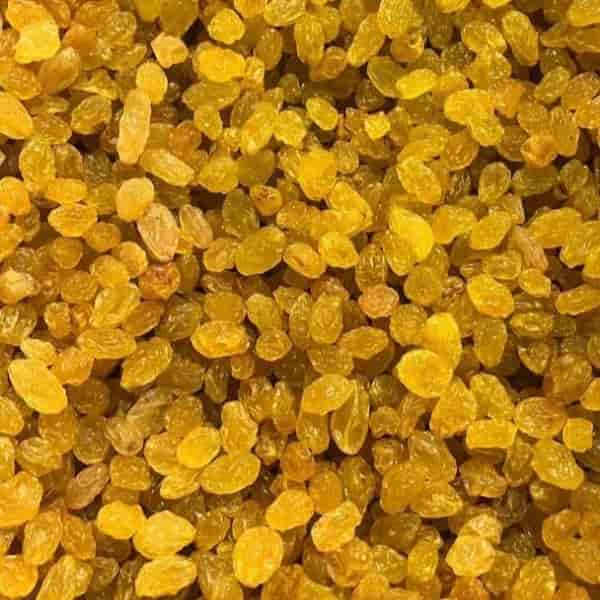 Golden Bidan Raisin Export
