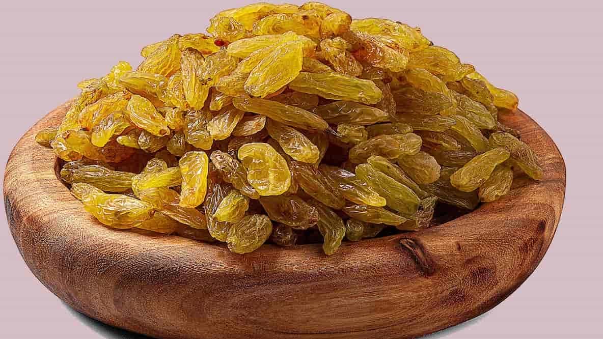 التعرف على خصائص الزبيب
